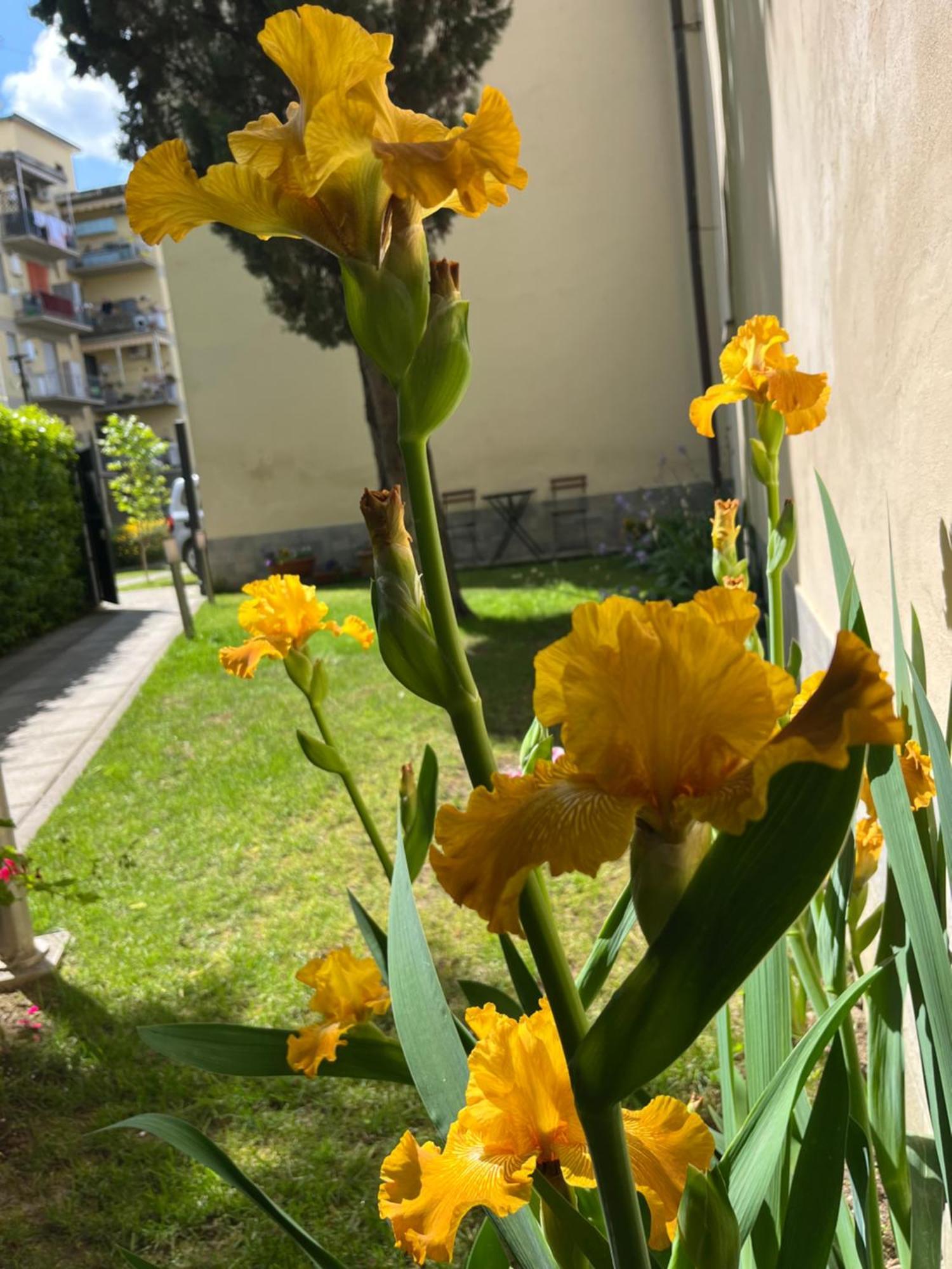Apartment Dalu Lucilla - Private Car Park 15 Minutes To The Center Florence